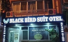 Black Bird Suite Estambul